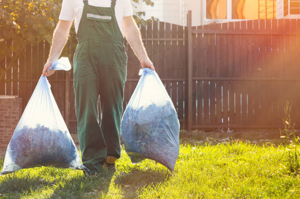 Best Demolition Debris Removal  in Ogden, IA